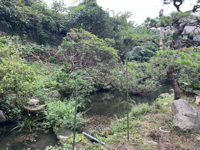 大山町御来屋　中古住宅（離れ付）の庭