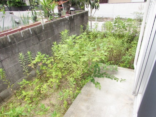 ファミール仁川Ⅰの庭|お庭の付いた物件です
