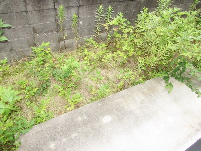 ファミール仁川Ⅰの庭|簡単な家庭菜園も楽しめるお庭です