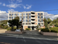 ミニヨン吉川の画像