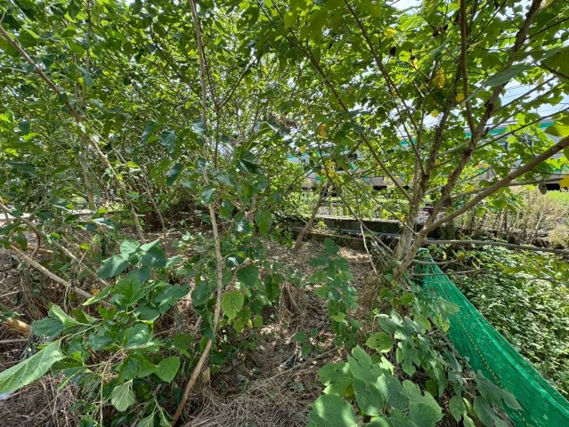 -三丁目不動産-　熊谷市新堀　分譲地の外観