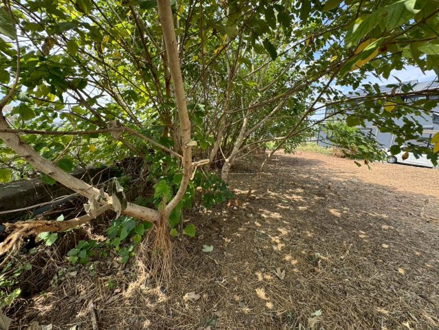 -三丁目不動産-　熊谷市新堀　分譲地の外観