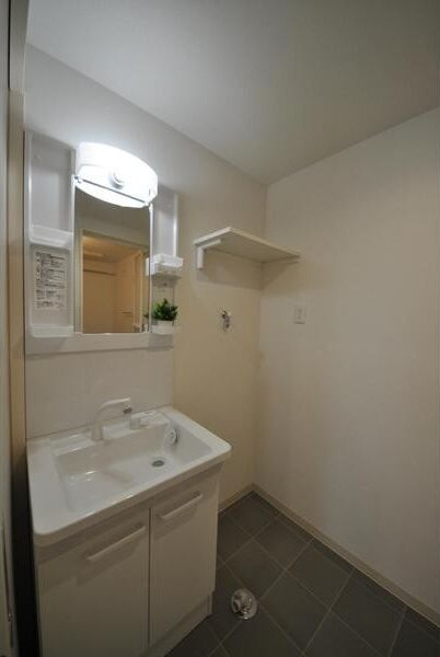 Cherim築地口Lunaの洗面所