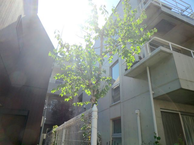 ＳＩＧＭＡの外観