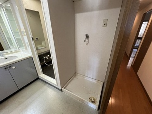 ファミールガーデン二条駅前の洗面所