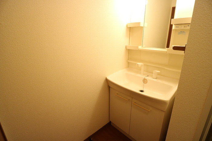 サニーヒル白水の洗面所