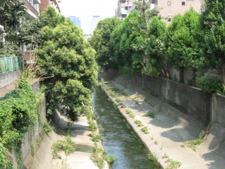 Glanz弥生町South　(グランツ弥生町ノース)の周辺