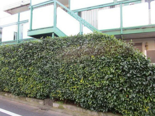 南荻窪1　49000円　2F