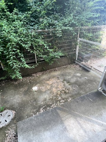 アルカディアの庭