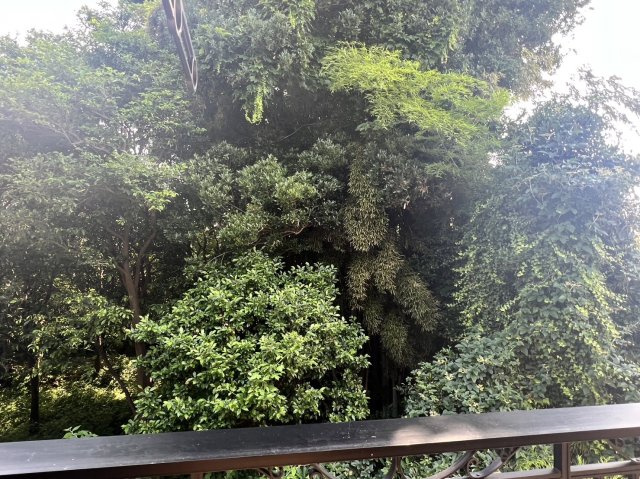 アルカディアの展望