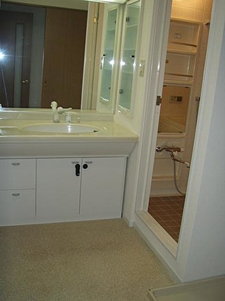 ジオ六甲山手の洗面所