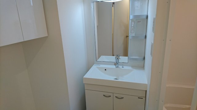 ドミール宮町の洗面所