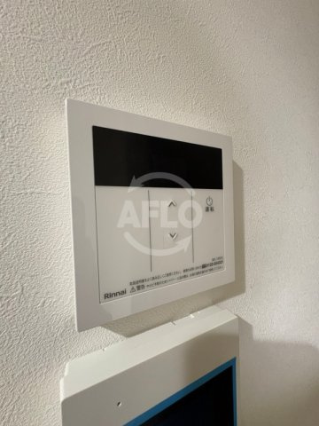 モアナ鷹合のその他