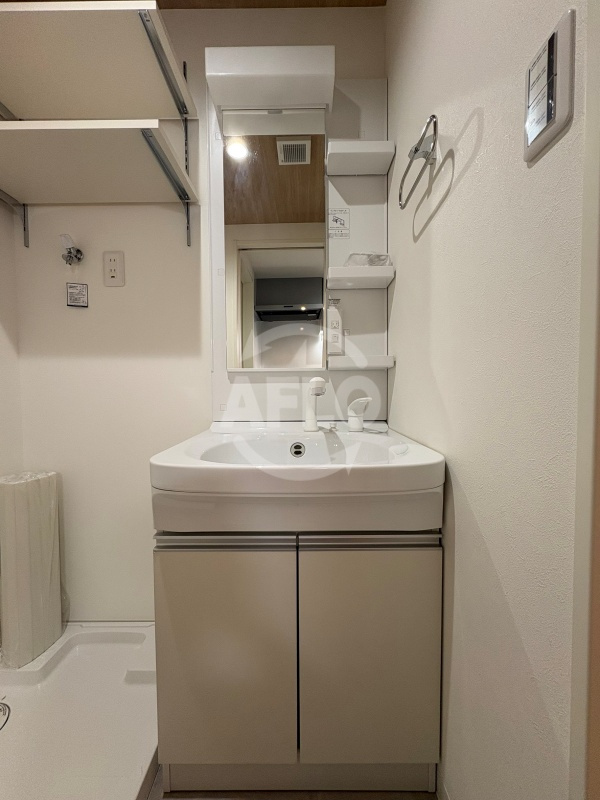 モアナ鷹合の洗面所