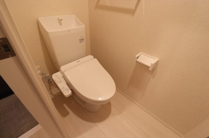 D-room姉体のトイレ