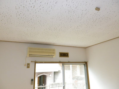 【その他】 | フジハイツ