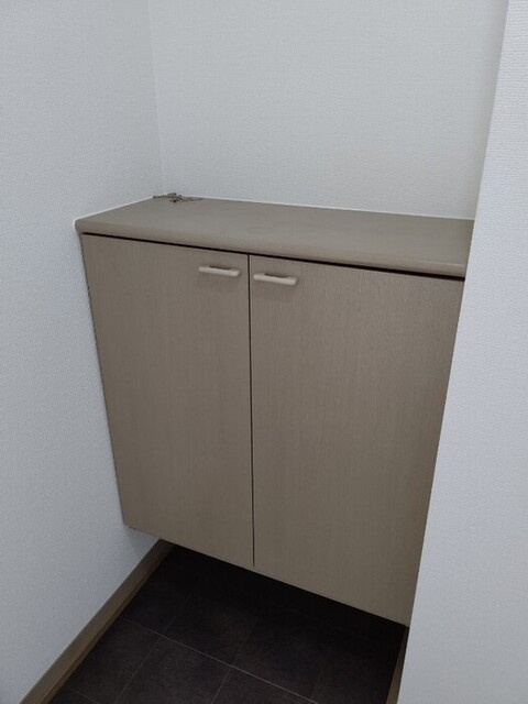 プレジール清音　A棟の玄関|玄関