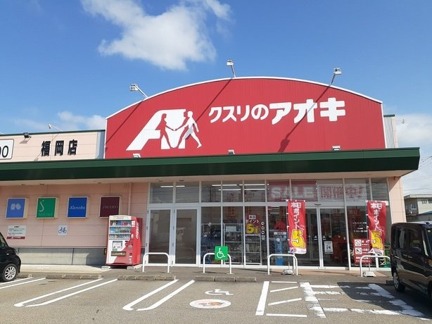 メゾン・アイリスの周辺|クスリのアオキまで170m