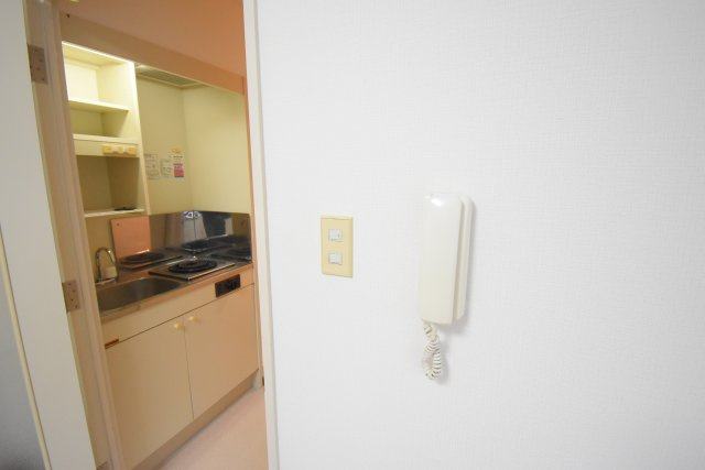 ドミトリーゴコーのセキュリティ