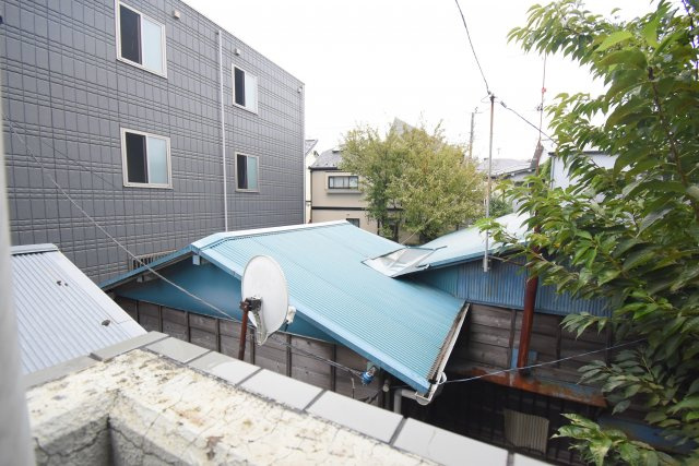 ドミトリーゴコーの展望