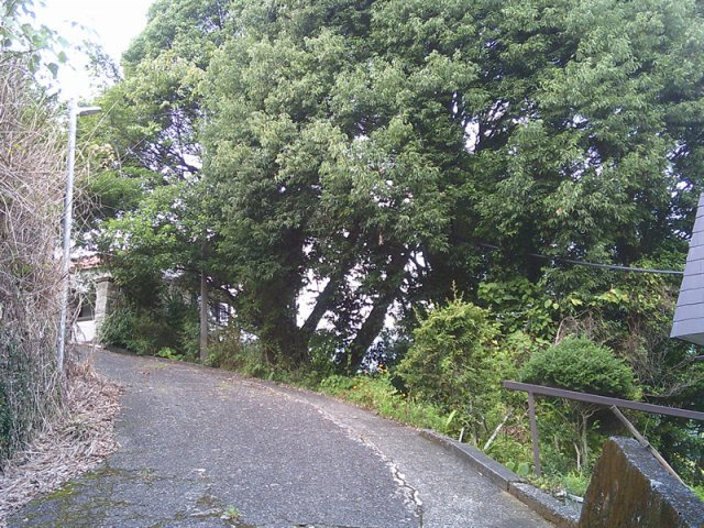 【外観】 | 湯河原町宮上 売地