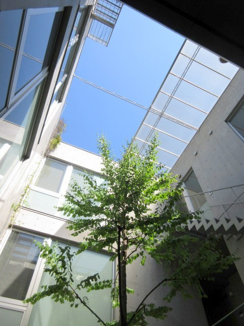 Ｎコート動坂のその他共用部分|共用スペース