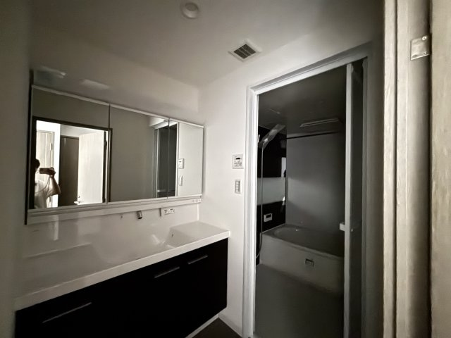 A.CITYタワーズウエスト・タワー棟の独立洗面台