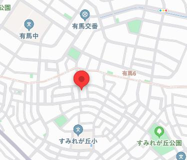 ＭＡＩＳＯＮ　ｄｅ　ＦＥＬＩＺの地図