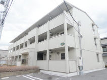 エントピアの画像