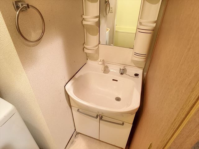 ルモール大濠北の洗面所