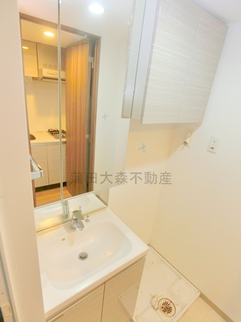 XEBEC下丸子の洗面所