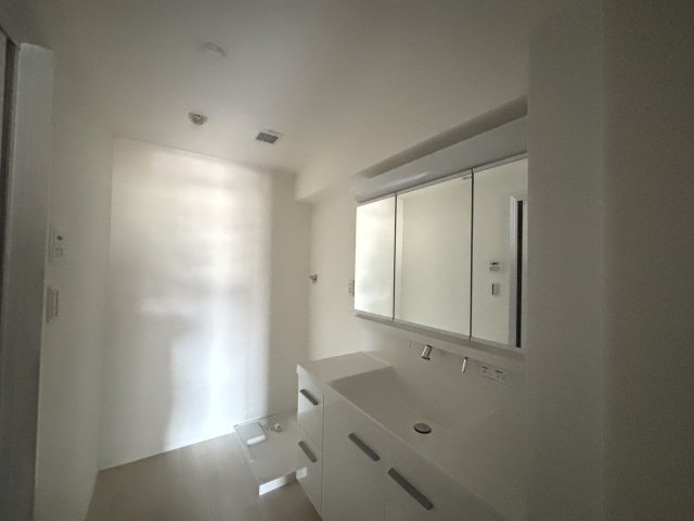 A.CITYタワーズウエスト・タワー棟の独立洗面台