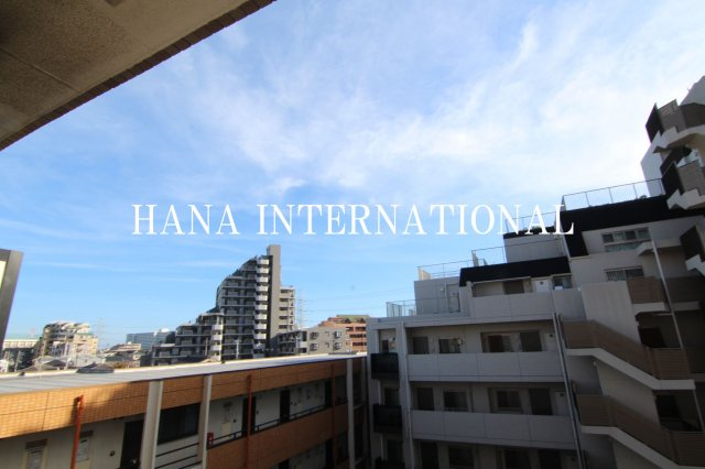 K・Mコートの展望