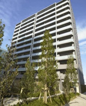 クレヴィア辰巳の画像