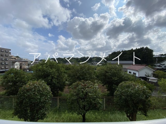 【展望】 | 眺望です