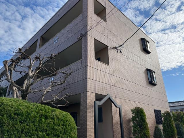 プチストーンⅡのエントランス|外観写真（昼）