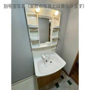 シャルマン冨士塚の洗面所