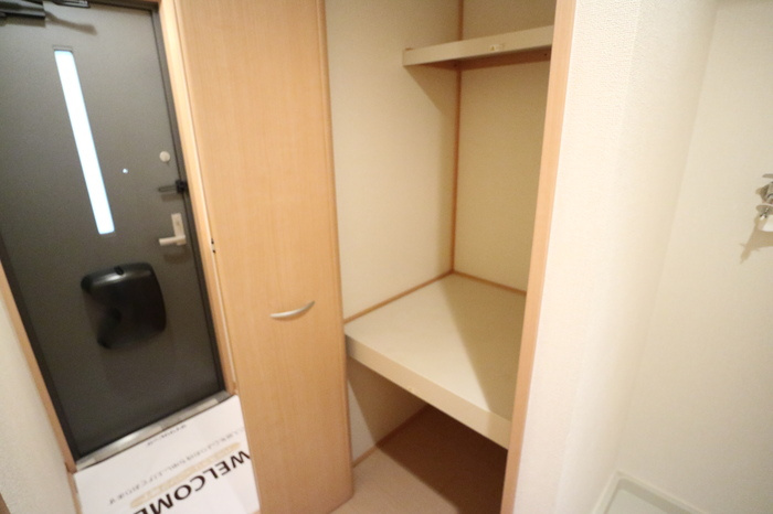 カーサアリビオの収納