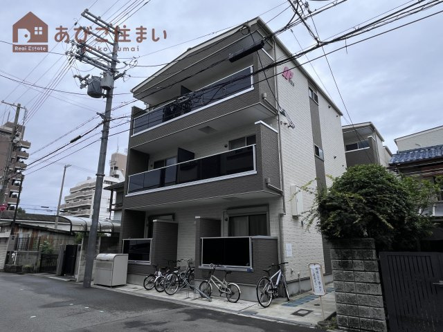 F asecia Nephelの外観