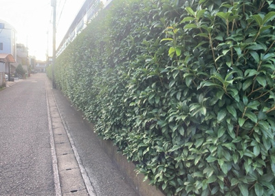 【庭】 | 藤和東林間コープ | 物件によっては、入居者が個人的に使用できる専用庭がついているものもあります。また、住宅の中にある土間の部分を庭と呼ぶこともあります。庭の用途は住む人によって変わり、それによってデザインもさまざまです。