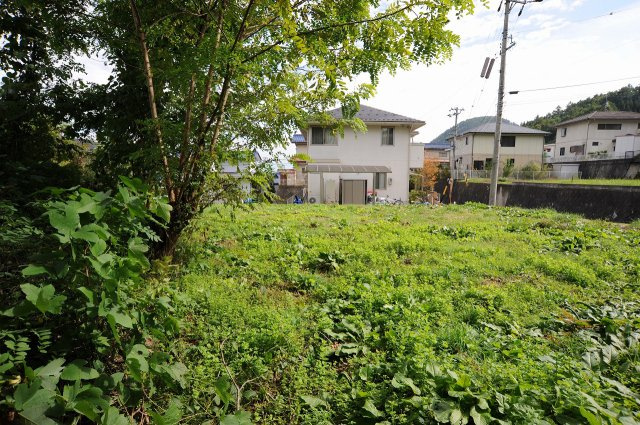 小鍋 土地|11/13 17:11