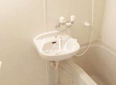 【洗面所】 | 菱和パレス立教大前 | 洗面台です。