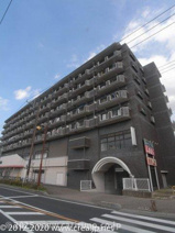 ピジョン田園の画像