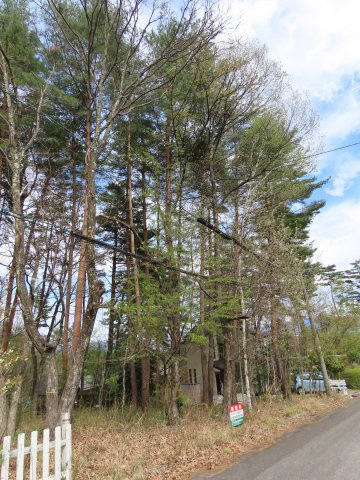 安曇野市穂高有明　売土地|04/16 17:30