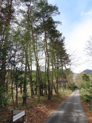 安曇野市穂高有明　売土地|04/16 17:32