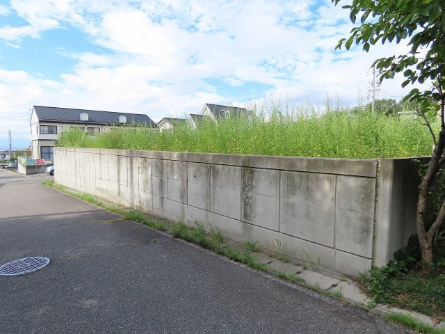 松原　売土地|08/25 10:30