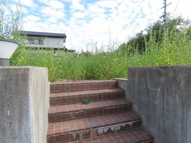 松原　売土地|08/25 10:32