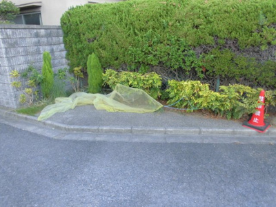 【その他】 | アドゥニスハイツＢ棟