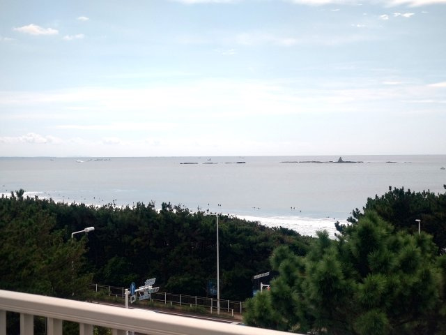 ウェリス茅ヶ崎東海岸南の展望