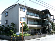 パピヨン565の画像